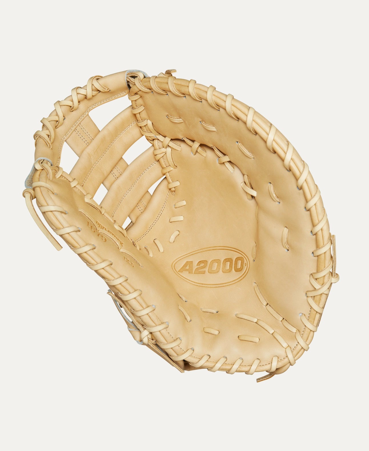 Wilson A2000 Glove Day Series 1679 12.5" Baseball First Base Mitt WBW102098