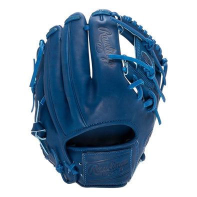 Rawlings (2024) Heart of the Hide Pro Label Element "STORM" Baseball Glove: RPRO204-2R