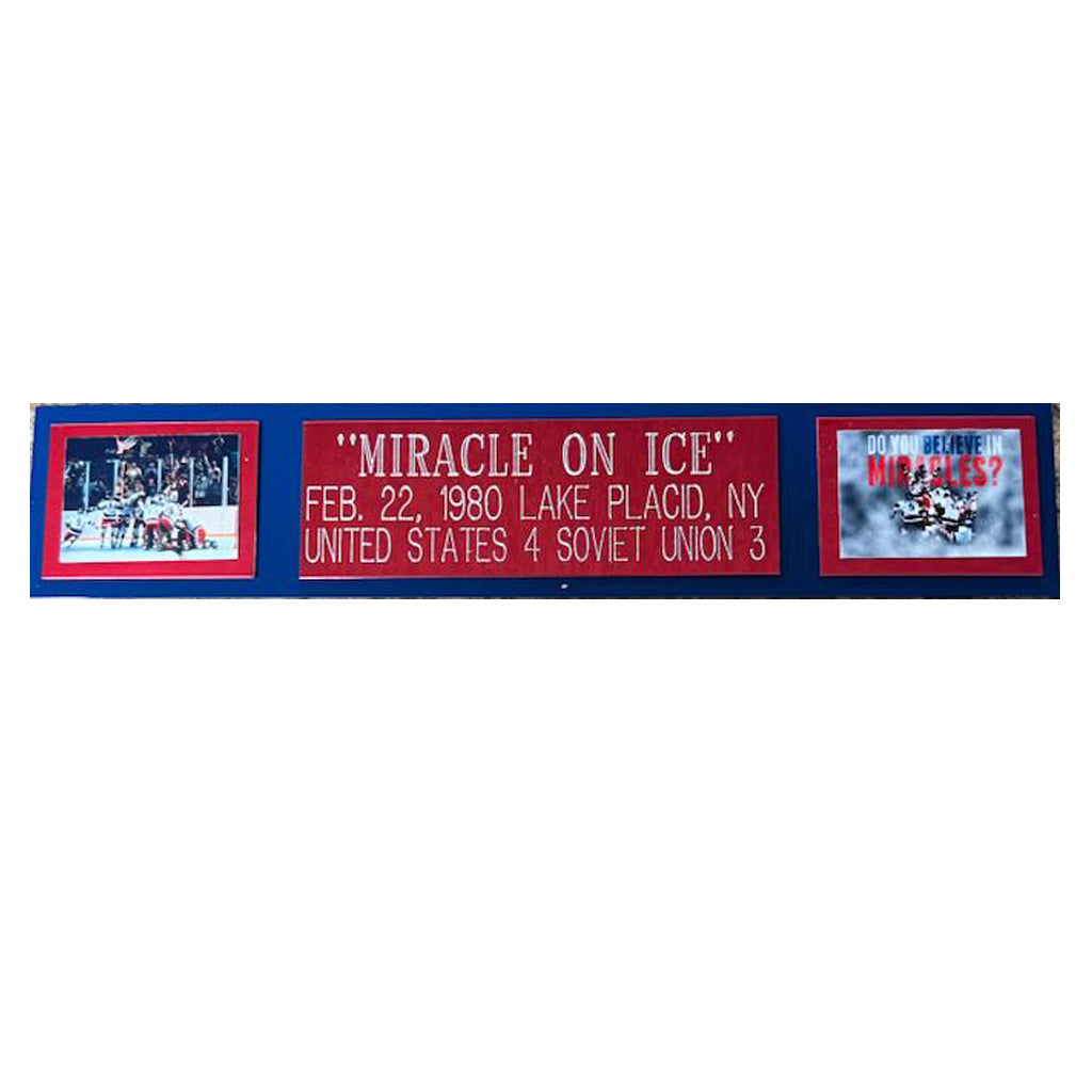 1980 Winter Olympics Lake Placid Miracle on Ice Arena  Original Seat Back