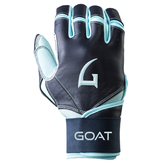 Legacy Series Long Cuff Navy Blue and Powder Blue Batting Gloves