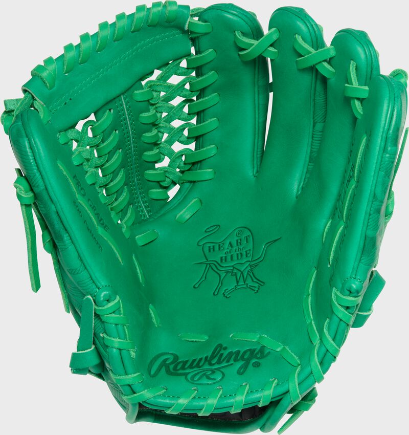 Fielding Gloves – tagged 