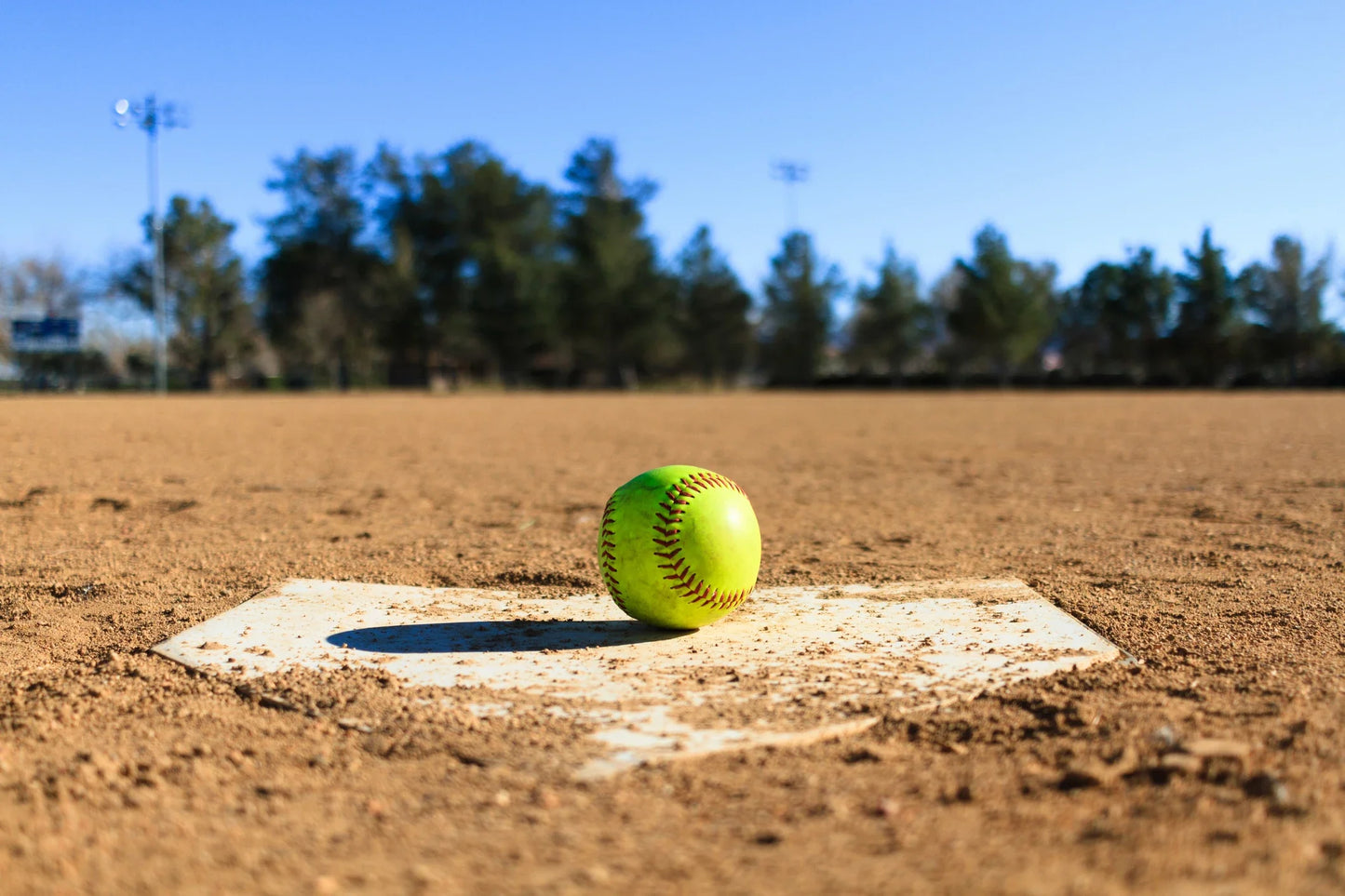 6 Softball Training Balls