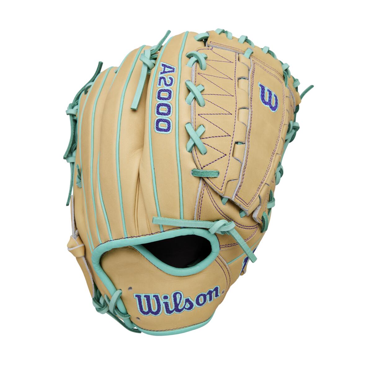 Wilson 2026 A2000 DH12 12.00" Baseball Glove WBW10413812