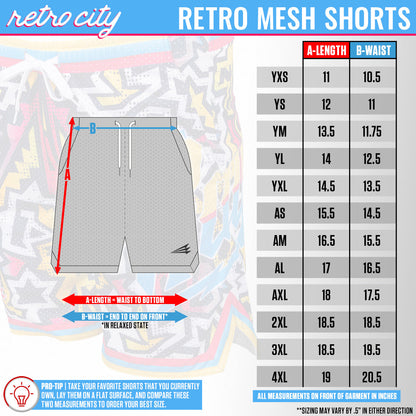 Mighty Ducks Hockey Retro Mesh Shorts *IN STOCK*