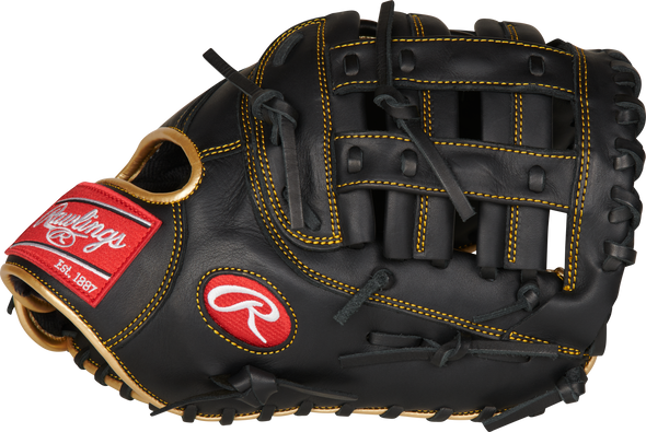 Rawlings R9 12.50" Baseball Glove: R9FM18BG