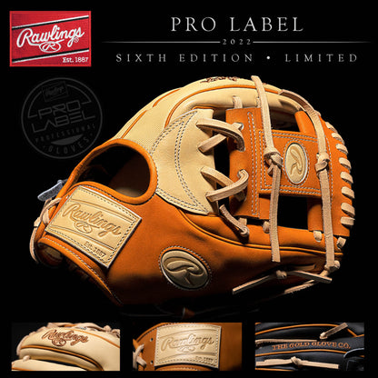 RAWLINGS HEART OF THE HIDE/PRO PREFERRED HYBRID PRO LABEL 6 INFIELD GLOVE: PRO934-2CTB