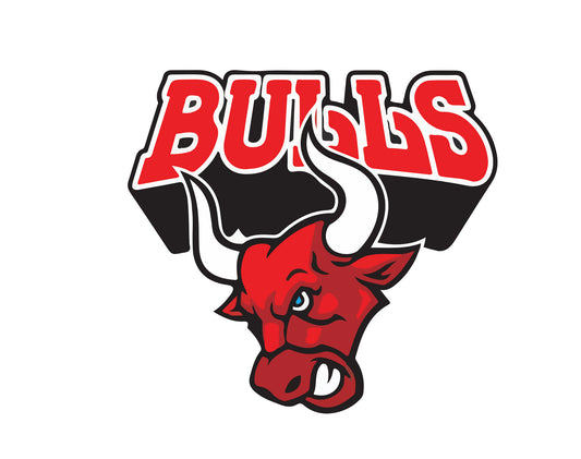 Bulls SVG Digital Download